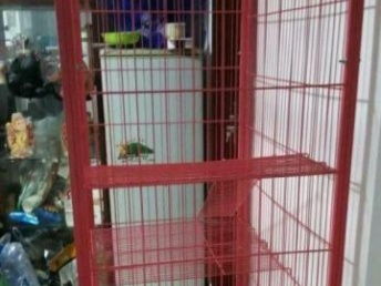 北京地區八成新貓咪用品組合優惠轉讓